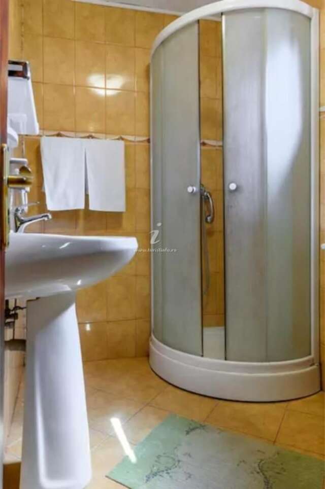 Гостевой дом Vila Nik Busteni Буштени-32